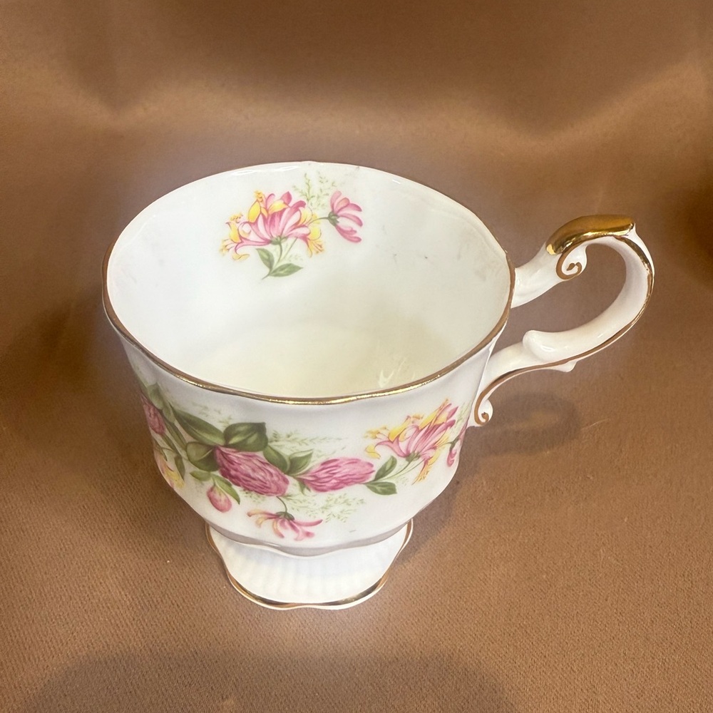 Rosina Fine Bone China Teacup - Picture 2 of 7